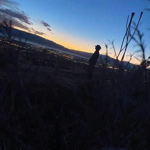 Meet your Posher, Dalton